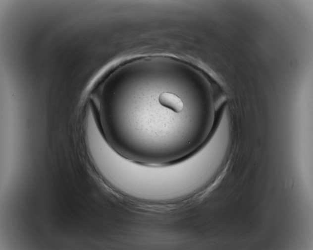 X0000086101502200703301202