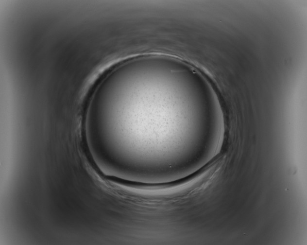 X0000086101503200703301202