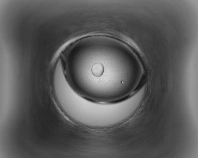 X0000086101504200703301202