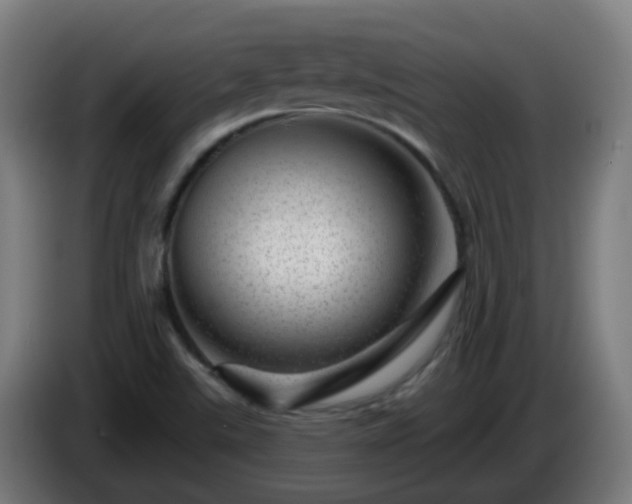 X0000086101507200703301202