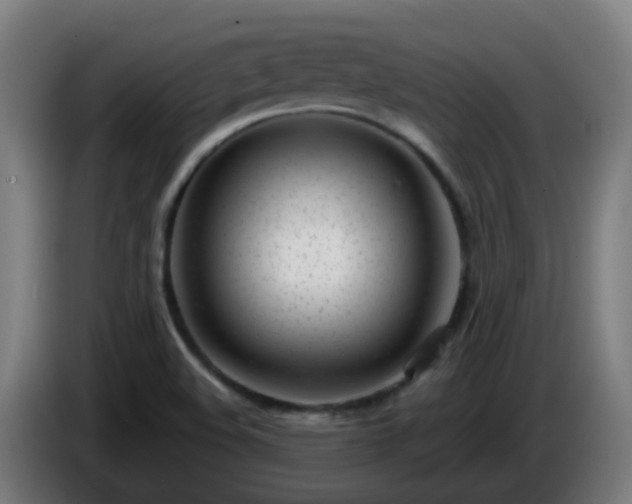 X0000086101508200703301202