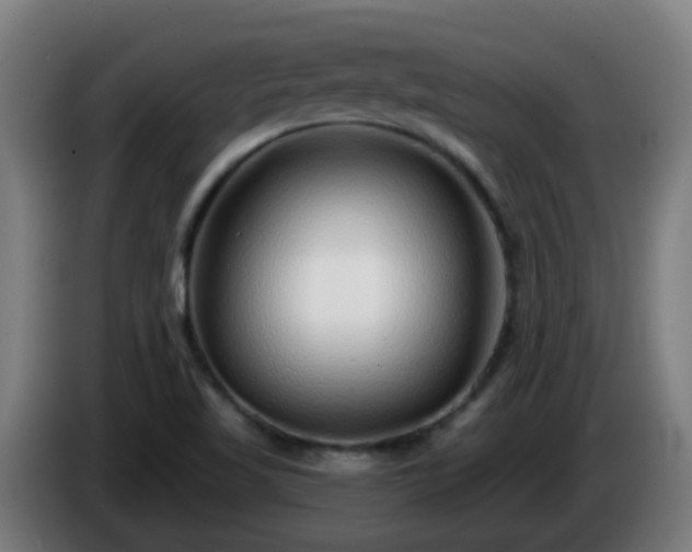 X0000086101509200703301202