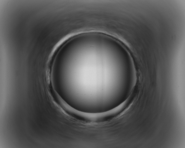 X0000086101510200703301202