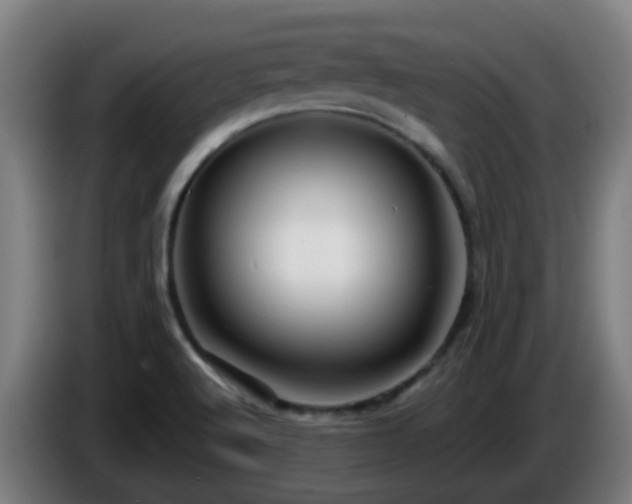 X0000086101512200703301202