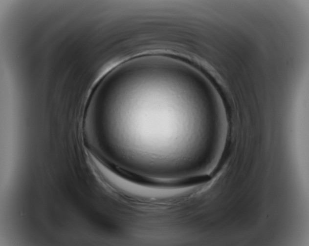 X0000086101513200703301202