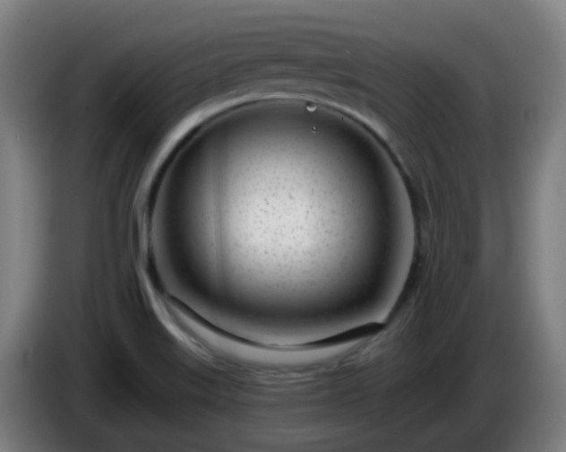 X0000086101515200703301202