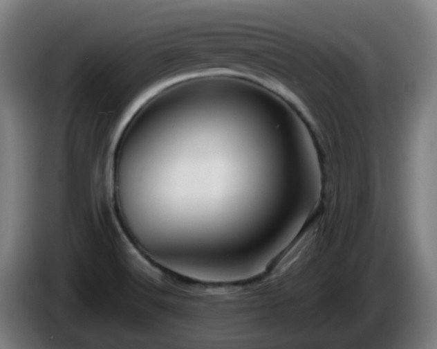 X0000086101516200703301202