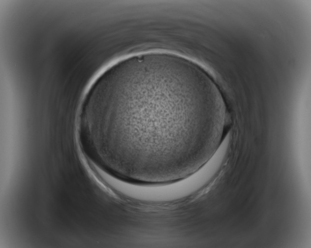 X0000086101518200703301202