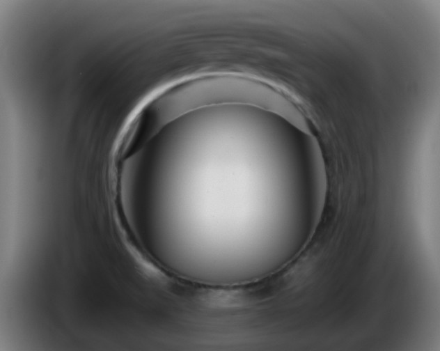 X0000086101519200703301202