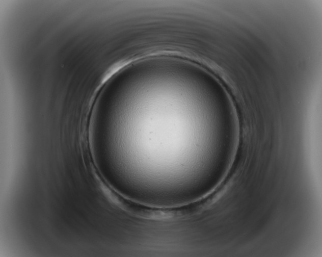 X0000086101521200703301203