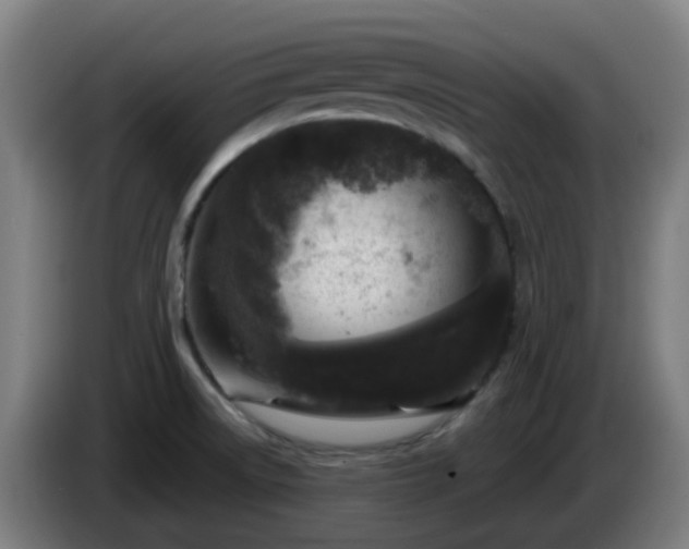 X0000086101522200703301203