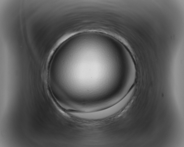 X0000086101525200703301203