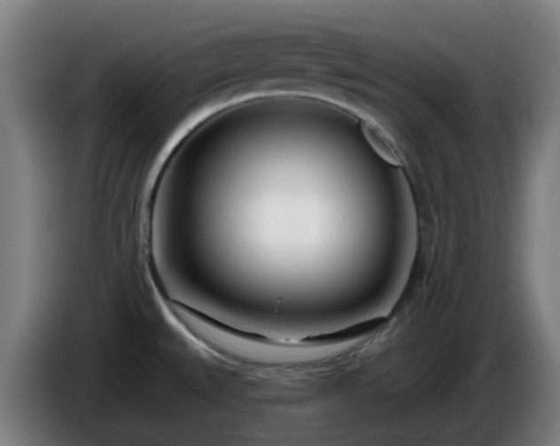 X0000086101527200703301203