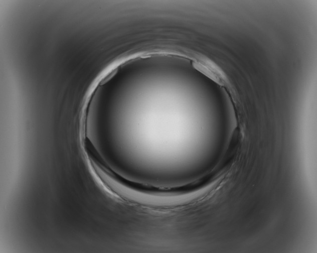 X0000086101528200703301203