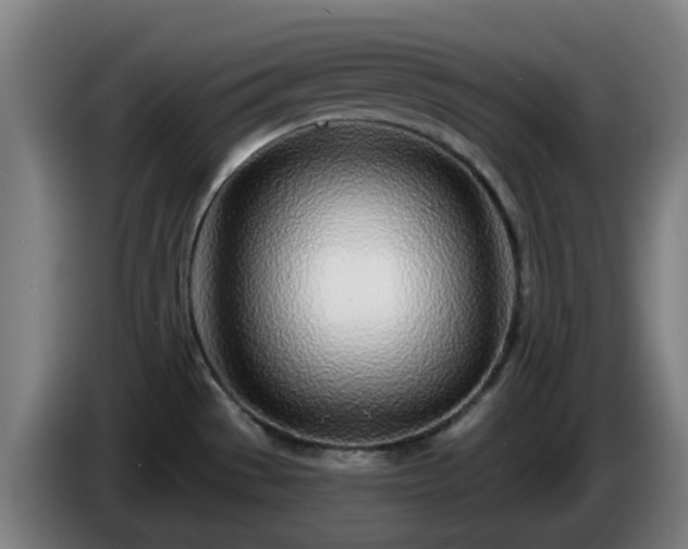 X0000086101529200703301203