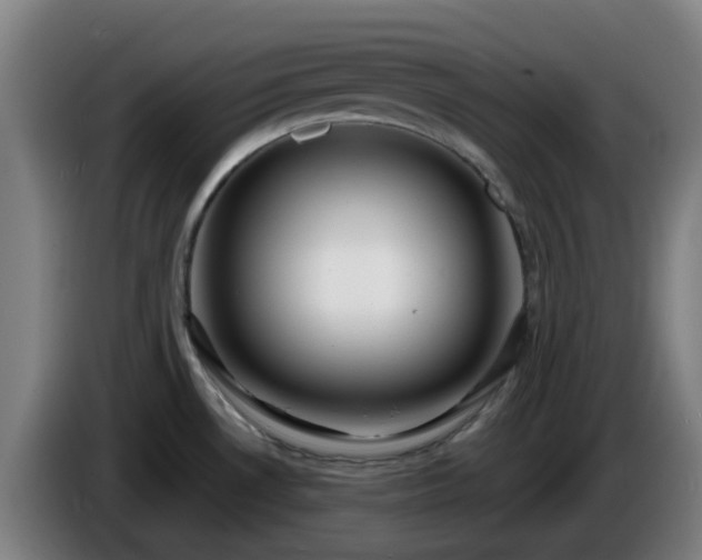 X0000086101530200703301203