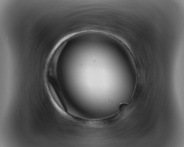 X0000086101531200703301203