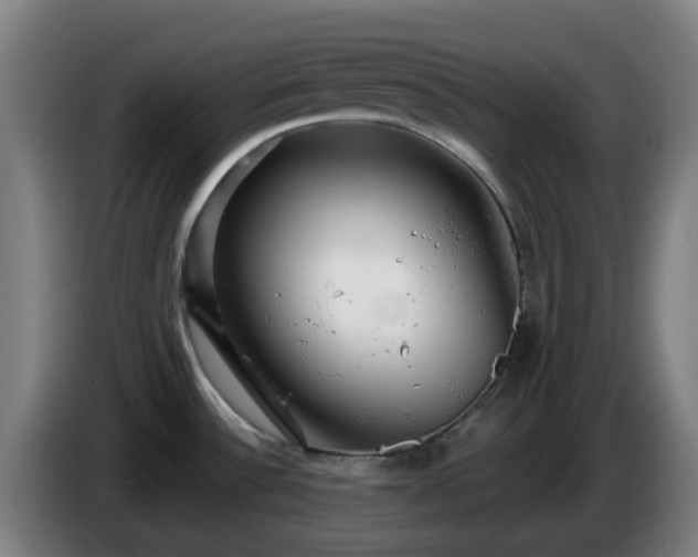 X0000086101532200703301203