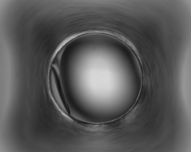 X0000086101533200703301203