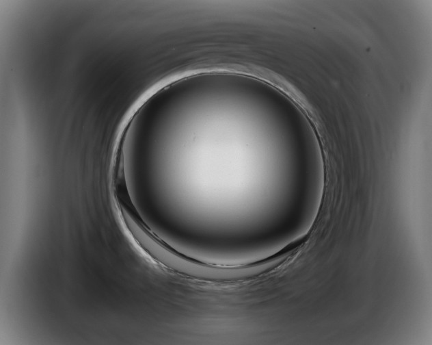 X0000086101536200703301203