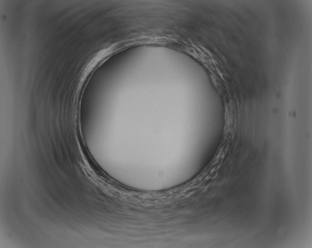 X0000086100003200704091404