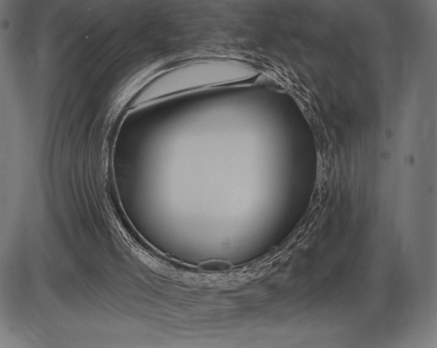 X0000086100005200704091404
