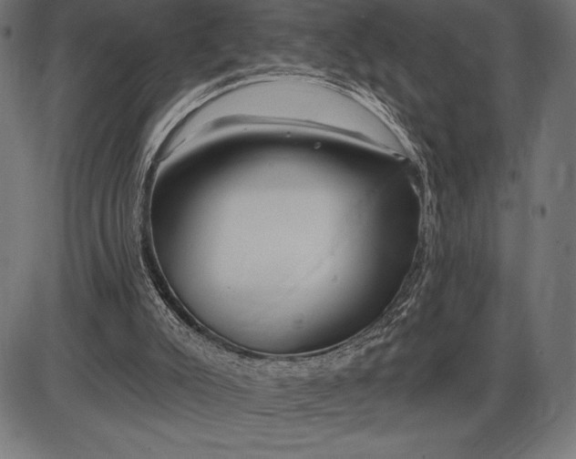 X0000086100007200704091404