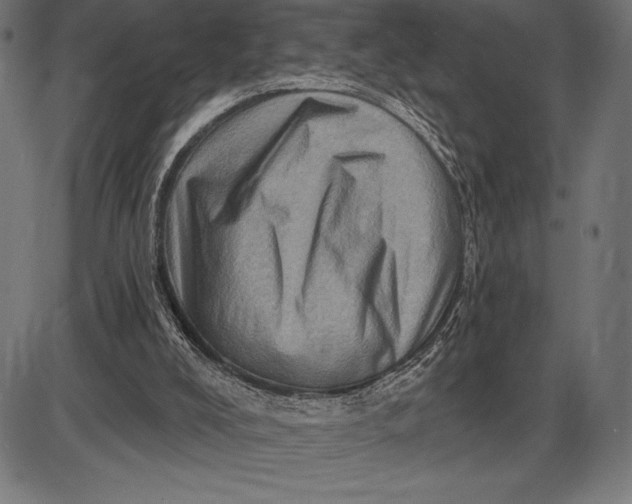 X0000086100008200704091404