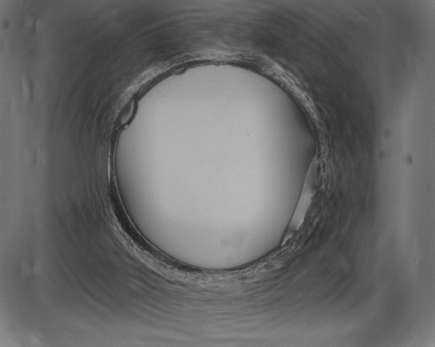 X0000086100011200704091404