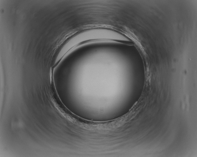 X0000086100013200704091404