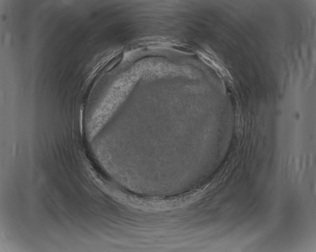 X0000086100014200704091404