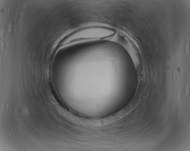 X0000086100015200704091404