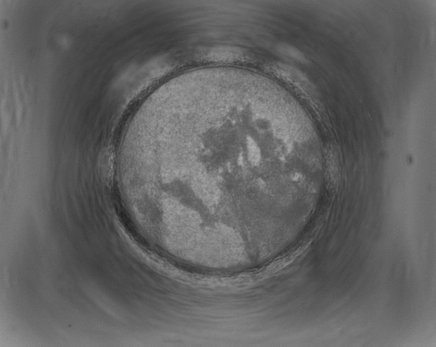 X0000086100016200704091404