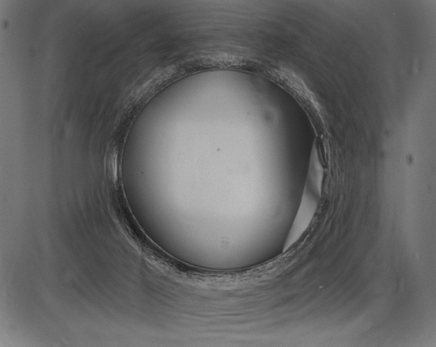 X0000086100021200704091404