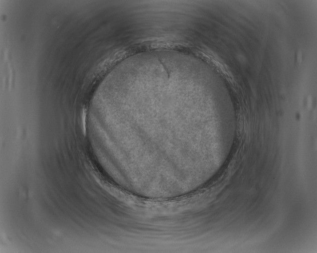 X0000086100022200704091404
