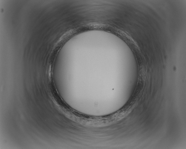 X0000086100024200704091404