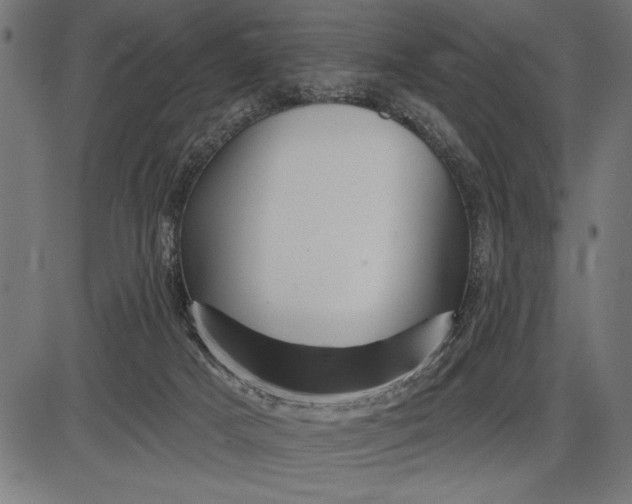 X0000086100025200704091404