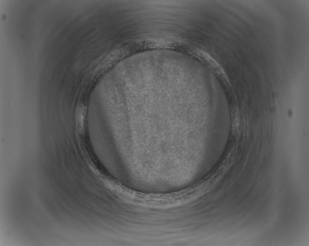 X0000086100026200704091404