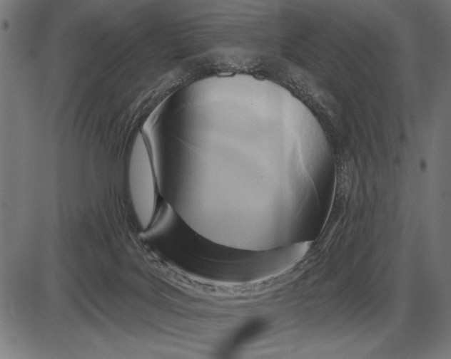 X0000086100027200704091404