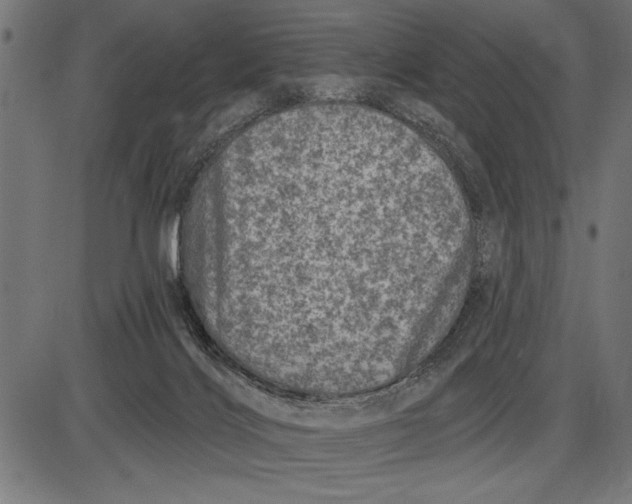 X0000086100028200704091404