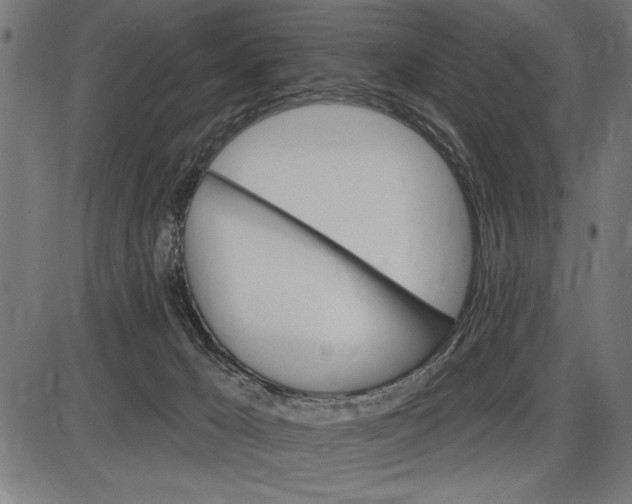 X0000086100029200704091404