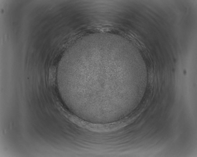 X0000086100030200704091404