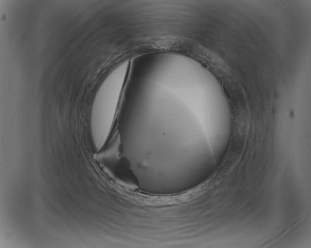 X0000086100031200704091404