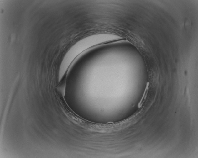X0000086100033200704091404