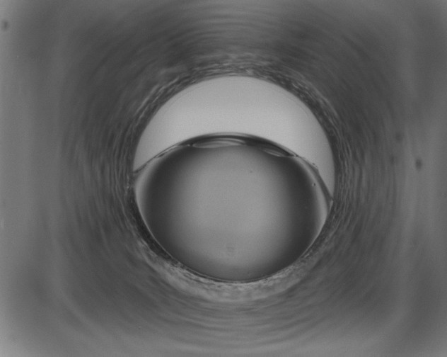 X0000086100035200704091404