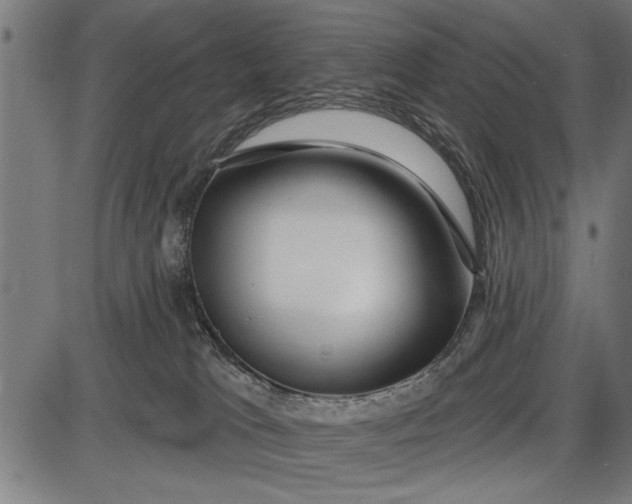 X0000086100037200704091404