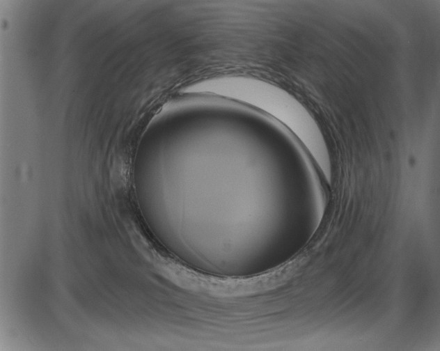X0000086100039200704091404