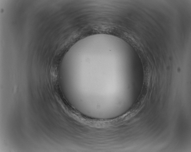 X0000086100040200704091404