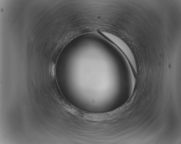 X0000086100041200704091404