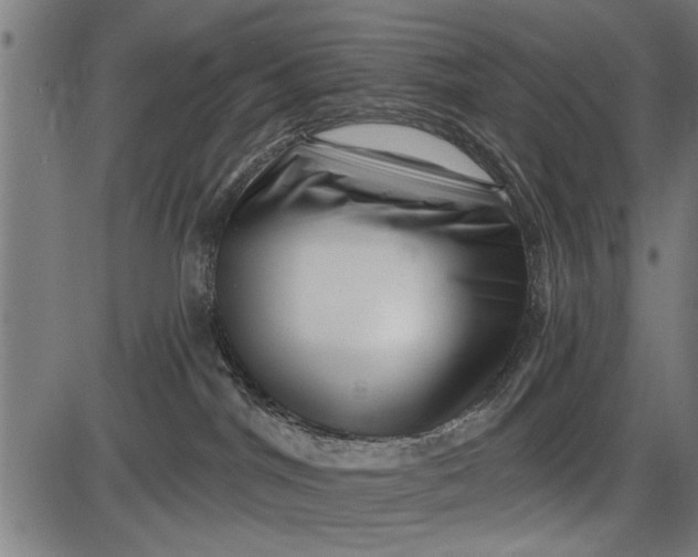 X0000086100044200704091404